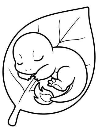Desenho de Charmander Durmiendo en una Hoja para colorir e imprimir grátis