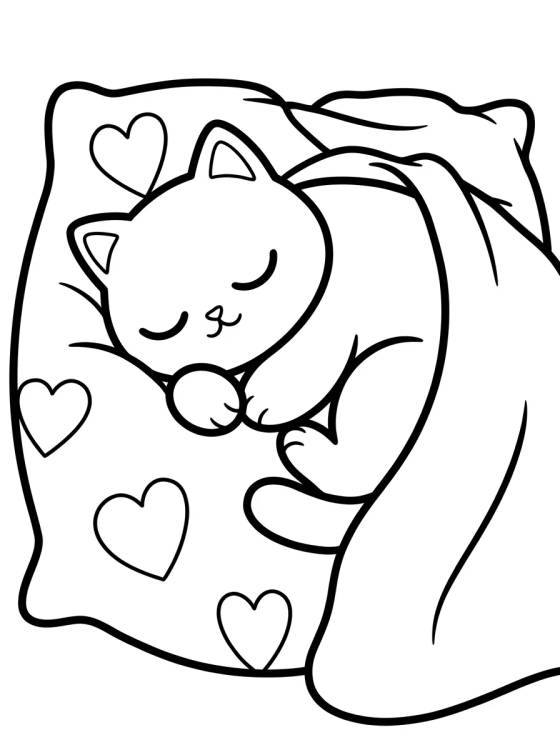 Desenho de Gato Dormilón en la Almohada para colorir e imprimir grátis
