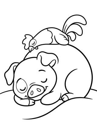 Desenho de Pua Durmiendo con Hei Hei Encima para colorir e imprimir grátis